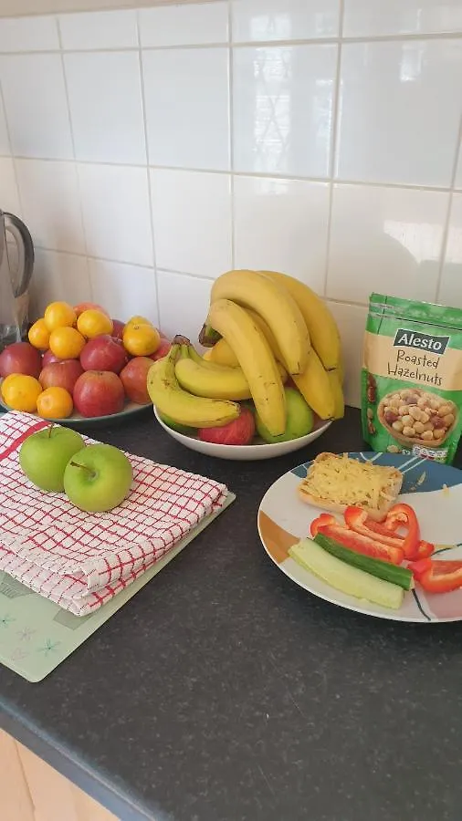 Bed & Breakfast Dublin Airport Lodge